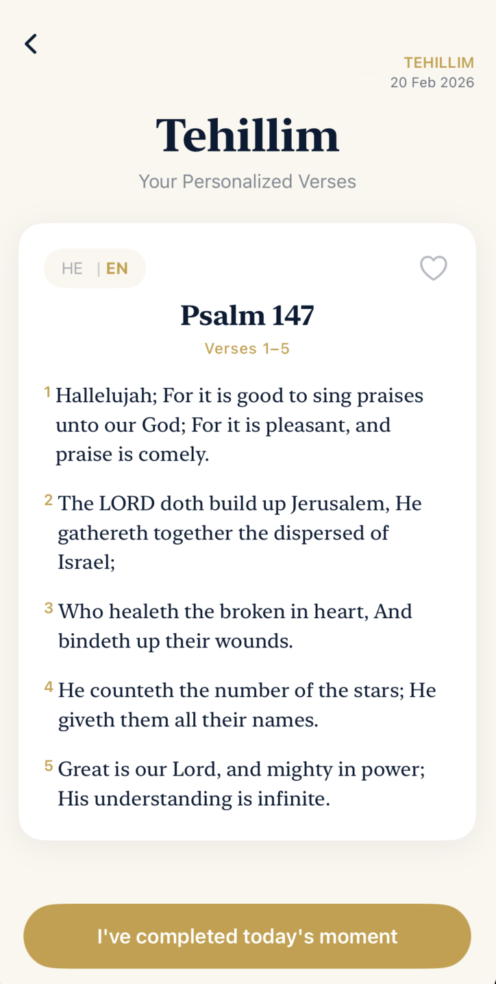 Tehillim English psalm translation in Torah Lock daily prayer app
